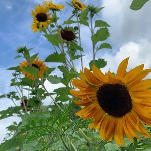 Meet your Posher, Ashleigh